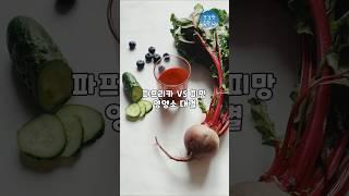 파프리카 vs 피망, 영양소 대결 #건강한습관#중장년건강#피망#파프리카#비타민c#베타카로틸#눈건강