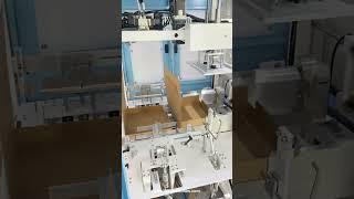 Automatic clothing product empty case box forming erecting machine video