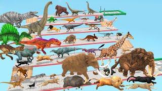 Which Animal vs Dinosaurs Speed Race Run Zigzag Down Course! from Outside Animal Revolt Battle Simul