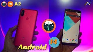 Installing Pure AOSP based Android 14 on Xiaomi Mi A2 - Jasmine Sprouts