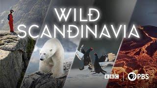 Wild Scandinavia - 2023 - PBS Documentary Series Trailer