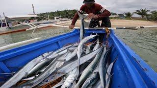 Ang Daming Isda Maliit ang kinita Catch & Sell | Net fishing