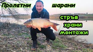 Релаксираме с улов на шарани.