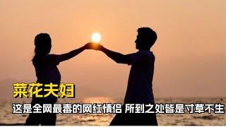 全网最“毒”网红情侣，所到之处寸草不生，菜花夫妇到底多可怕？