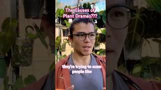 Plant dramas of 2025…. What?? #plantdrama #planttea