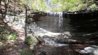 Discover the Natchez Trace