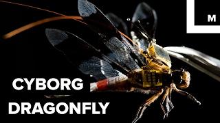 Dragonfly drone