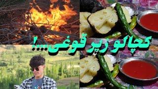 دوستا کچالوی زیر قوغی (تایی قوغی)پخته کردیم