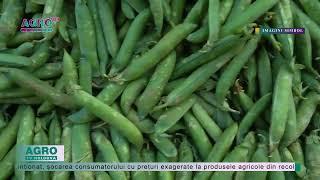 Mazărea verde din Moldova se vinde la prețul sparanghelului – AGRO TV News