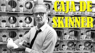 La Caja de Skinner | Los Experimentos Más "Perturbadores" #1 | Pedagogía MX