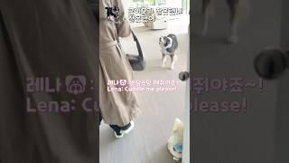 큰이모가 잘못했네.. 잘못했어!