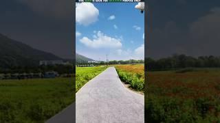 they airplane ️ is flying| New Viral Gadgets,Smart Appliances, Kitchen Utensils/ Home Inventions