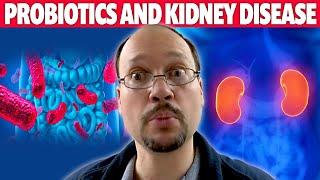 Probiotics, Prebiotics, Symbiotics and Kidney Health & Kidney Function