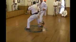 Chikubu-Kai Shihan Hartman Chi-No-Kata Bunkai Demo