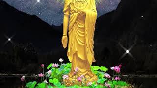 Nhạc niệm Nam Mô A Di Đà Phật   Âm Điệu Rất Thanh Tịnh Hoá Giải Muộn Phiền   Mới thu âm 82020 320kbp