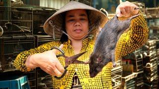 Surviving on RATS: This Mekong Village Makes Millions from Rats