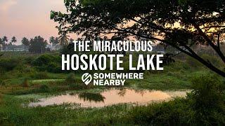 Hoskote Lake | Somewhere Nearby