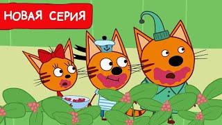 Три Кота | Дары леса | Мультфильмы для детей 2024 | Новая серия №240