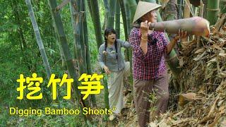 let's go dig up bamboo shoots with Great-Grandma! 【叫我阿霞Channel】