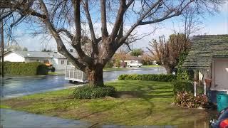 Nature Sounds Rainy Day ASMR