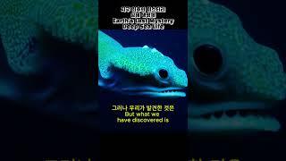  빛도 닿지 않는 심연, 지구 최후의 심해 미스터리 #심해 #미스터리 #바다 #초자연 #불가사의 #미스테리