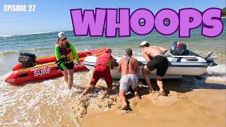 Dolphin Drama - Sailing to Lady Musgrave Island
