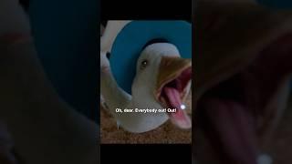 A human!humans are coming #tvshow #shortvideo #movie