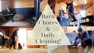 BARN CHORES & Daily Cleaning VLOG | Another Day in the Life + Meet our Horse Felix!