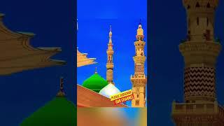 Ho karam Sarkar|naat recital|islamic bliss|Sufi serenity|sufi pathways|naat bliss#islam#short#naat
