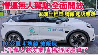 Intellectually disabled self-driving taxis are fully open to the public!