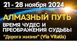 21-28 ноября: Алмазный путь (Via Vitalis) - время чуда и преобразования Судьбы. Знак Змееносца