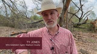 MSU Extension Agents help in Smithville and Rolling Fork after tornadoes