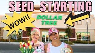 DOLLAR TREE🩷Gardening for beginners! Seed starting on a budget #dollartree #seedstartingtips #diy