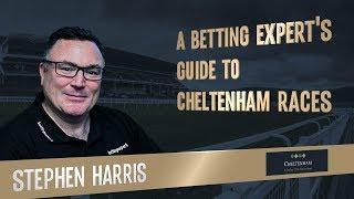 A betting expert's guide to Cheltenham races