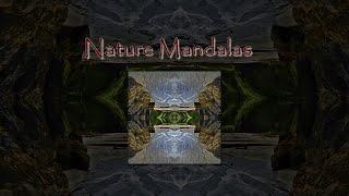 Nature Mandalas | Capturing the Spiritual Essence of the Natural World (Excerpt)