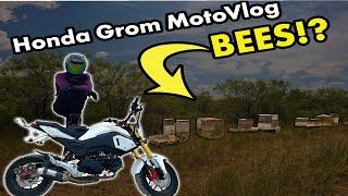 My Last Ride… Honda Grom Motovlog