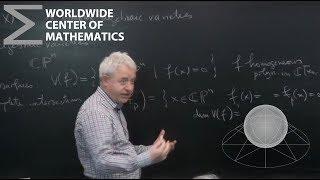 Alexandru Dimca - On the fundamental groups of complex algebraic varieties