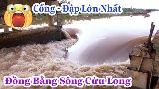 nổi khiếp sợ của tài công khi nhắc đến Cống - Đập lớn nhất các tỉnh Miền Tây