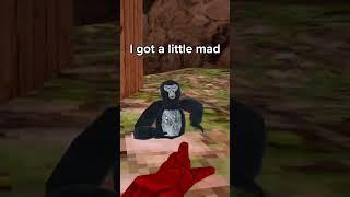 I got a little mad.. #vr #oculus #gorilla #funny #gorillatag