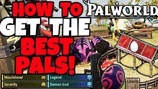 Get The BEST Pals in Palworld By BREEDING! Palworld Breeding Guide - Feybreak Update