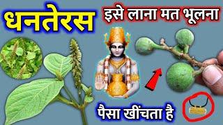 धनतेरस की रात इसे लाना मत भूलना, लाते ही गरीबी मिट जायेगी ? आगे आपके मर्जी dhanteras 2024