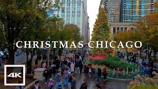 Full Chicago Christmas Walk 2024  Macy's Holiday Windows 2024 | 4K HDR 60fps