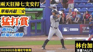 20250525林台加(洋基A)LF全場｜猛打賞！超火手感,兩天狂掃七支安打！