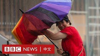 颱風「貝碧嘉」登陸上海 成75年來襲滬最強颱風－ BBC News 中文