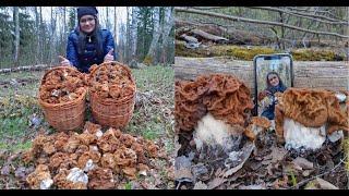 СТРОЧКИ ПОШЛИ! КУДА СТОЛЬКО ГРИБОВ? МРАК! ПЕРВЫЕ СТРОЧКИ,  ПОЛНЫЕ КОРЗИНЫ ГИГАНТСКИХ СТРОЧКОВ