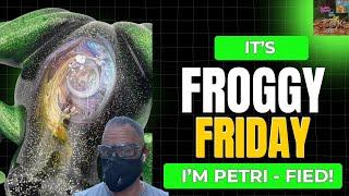 It's FROGGY FRIDAY! I'm PETRI - FIED, Full resin Tutorial!