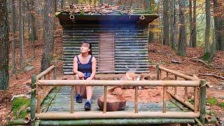 Building a Bamboo Shelter, Survival Shelter Building Skills | The Beauty of the Wild Forest