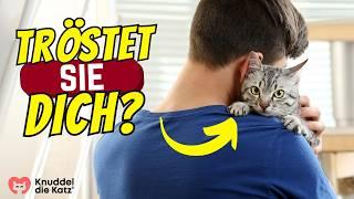 Wenn du traurig bist, macht deine Katze DAS