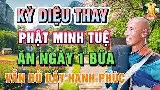 Kỳ Diệu Phật Minh Tuệ - Cách Để Ăn Ngày Chỉ 1 Bữa Vẫn Sống Đủ Đầy Hạnh Phúc