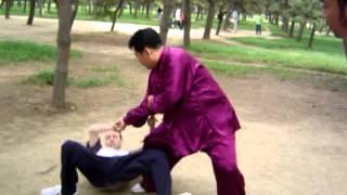 陈氏太极拳 陈瑜 Chenyu Chen Taijiquan Qinna w/ Marin Spivack 默灵 1 Old Videos